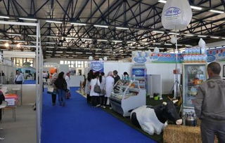 專(zhuān)業(yè)會(huì)展與展覽服務(wù)概述