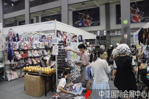 會(huì)展服務(wù)全解析 聚焦展覽服務(wù)的核心類型